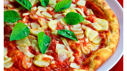 /_image/i/rs:fit:240:240/dpr:2/bG9jYWw6Ly8vbWVkaWEvdmFjYW5jaWVzLzg3NTU5LzEwMDAwNzc3NzYucG5n